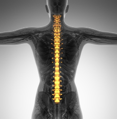 Spine Surgery in coimbatore